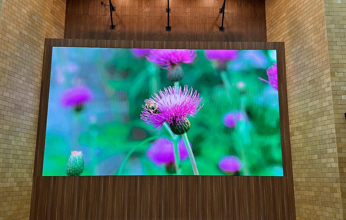 The 1.2 mm direct-view LED wall, up close